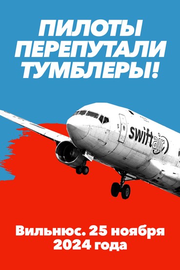 Пилоты перепутали тумблеры! Вильнюс. 25 ноября 2024 года
