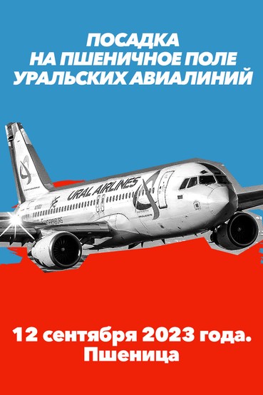 Посадка на пшеничное поле «Уральских авиалиний». 12 сентября 2023 года. Пшеница