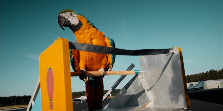 Кадр из к/ф «Побег из зоопарка» Кадр из к/ф «Побег из зоопарка»