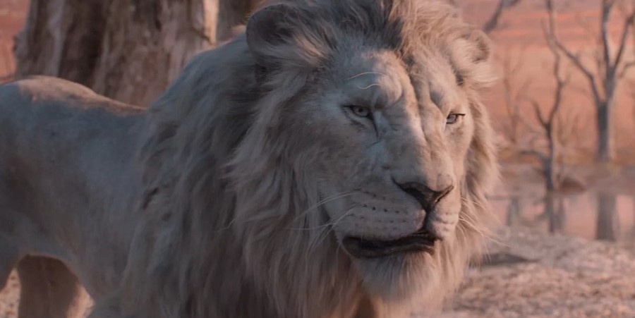 Фото из фильма «Муфаса: Король Лев»