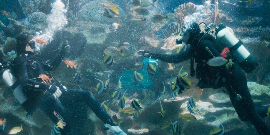 Кадр из к/ф «Северная станция»