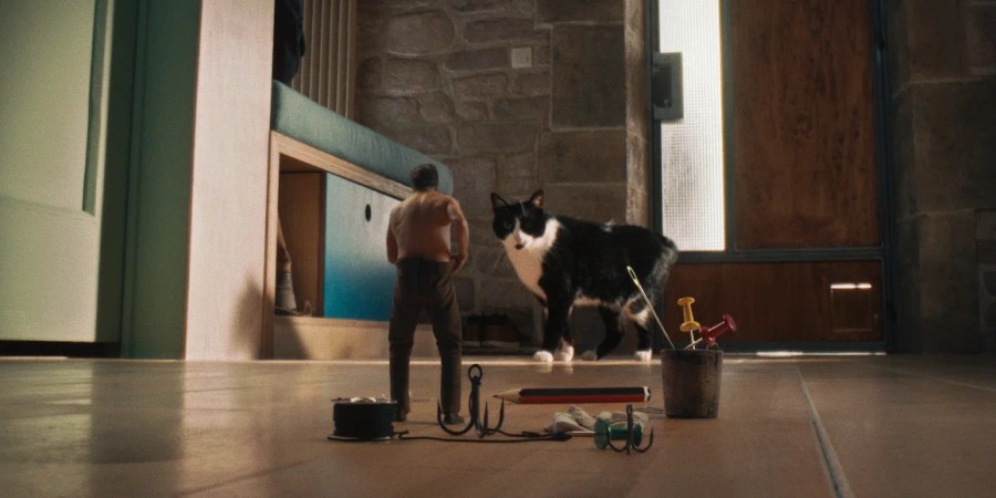 Кадр из к/ф «Дорогая, я уменьшаюсь» Кадр из к/ф «Дорогая, я уменьшаюсь»