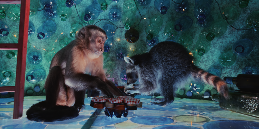 Кадр из к/ф «Побег из зоопарка» Кадр из к/ф «Побег из зоопарка»