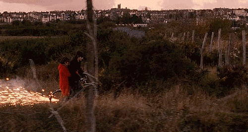 7.gif