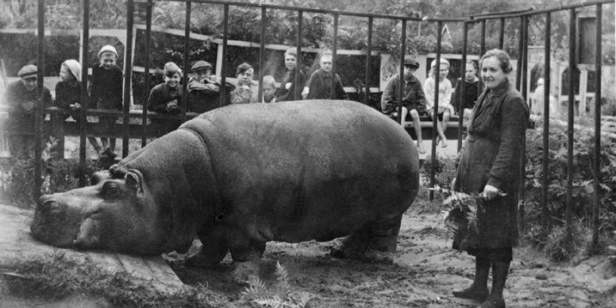 Кадр из д/ф «Блокадный зоопарк»