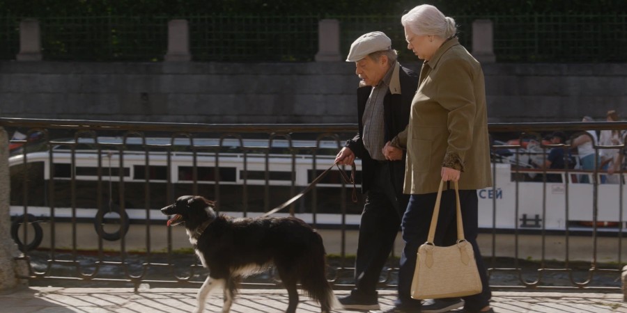 Кадр из к/ф «Двое в одной жизни, не считая собаки»