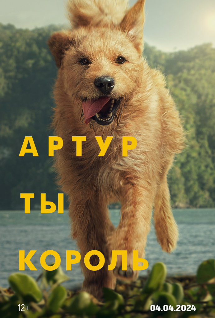 Постер фильма «Артур — ты король»