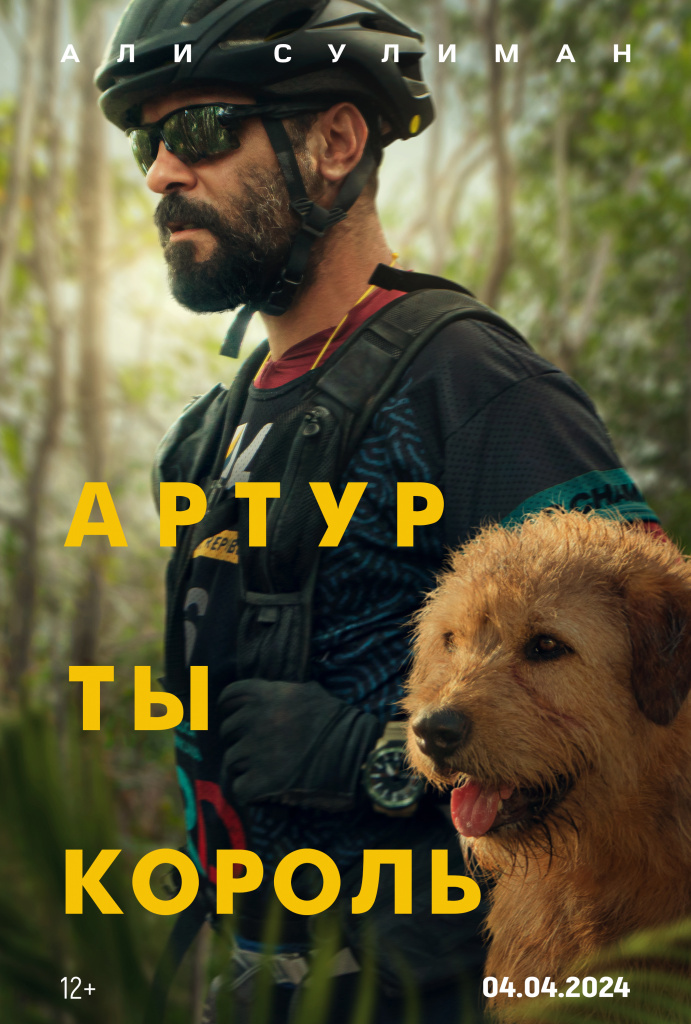 Постер фильма «Артур — ты король»
