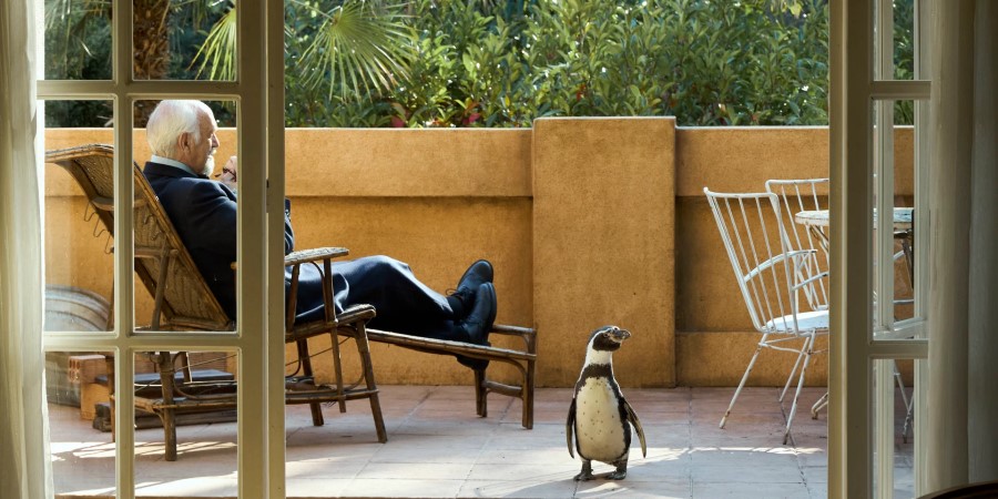 Кадр из к/ф «Школа мистера Пингвина» Кадр из к/ф «Школа мистера Пингвина»