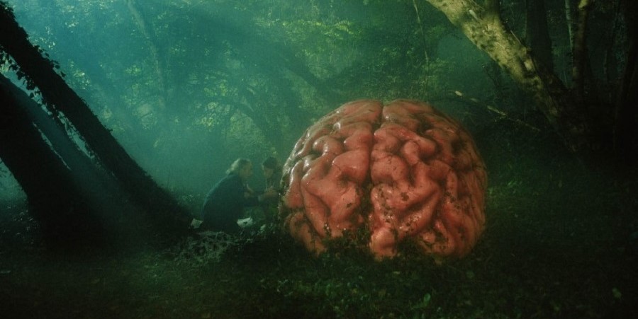 Фото из фильма «Слухи» Фото из фильма «Слухи»