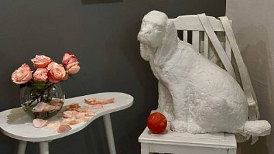 Oyoqlaringizni yoyib, mushukingizni korsating