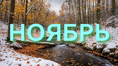 КиноНоябрь