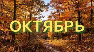 КиноОктябрь 